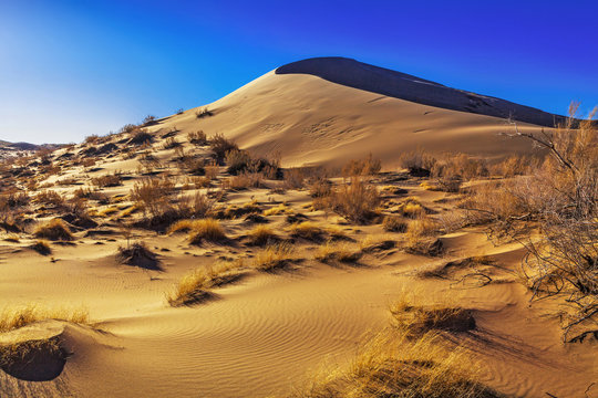 Singing barkhan in the morning autumn rays in the Altyn-Emel national park. Kazakhstan