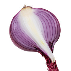 Fresh cut onion isolated on white background  with clipping path