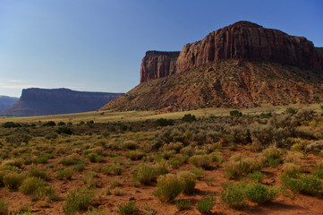 Huge mesa in the early morning light with desert plants in the foreground