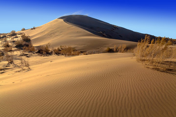The golden dunes of the Singing Barkhan. National Nature Reserve Altyn-Emel, Kazakhstan