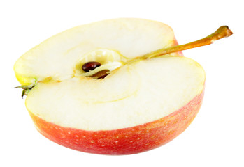 Apple cut in half inside longitudinal section isolated on white background