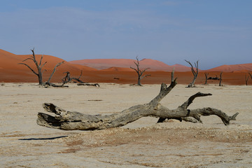 Sossusvlei