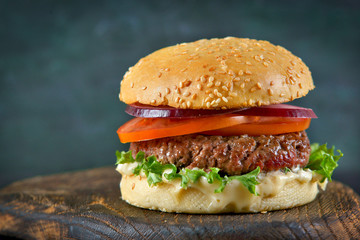 Burger on a dark background