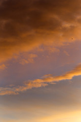 Fototapeta premium Sunset