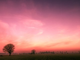 Magical pink sunset over rural silhouette of trees against burned evening skyl