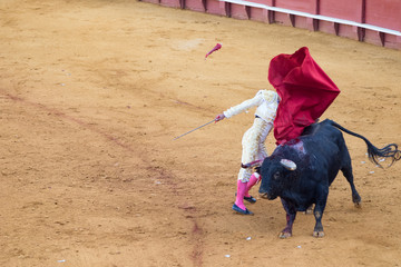 Torero durante corrida.