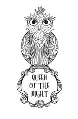 Owl bird sitting on sign frame with inscription queen of the night on white background vector image. Wild night owl bird hand drawn vector illustration