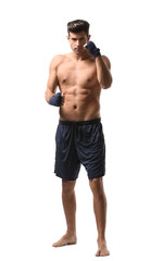 Attractive young boxer on white background