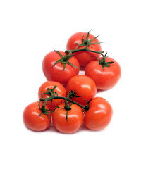 Red ripe tomatoes on branch isolated on white background studio shot closeup