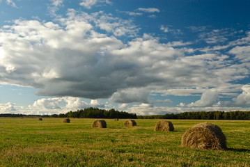 Rural landscape, sheaves of hay on the field, under a beautiful sky. The Leningrad Region,...