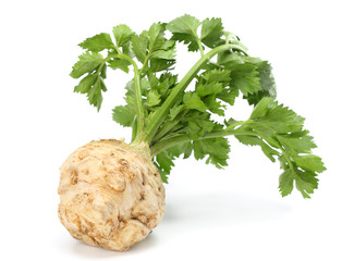 celery root with leaf isolated on white background. Celery isolated on white. Healthy food - obrazy, fototapety, plakaty