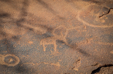 Rock Art near Twyfelfontein