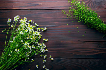 bouquet of chamomile and Capsella leaves hearts  on wooden backg