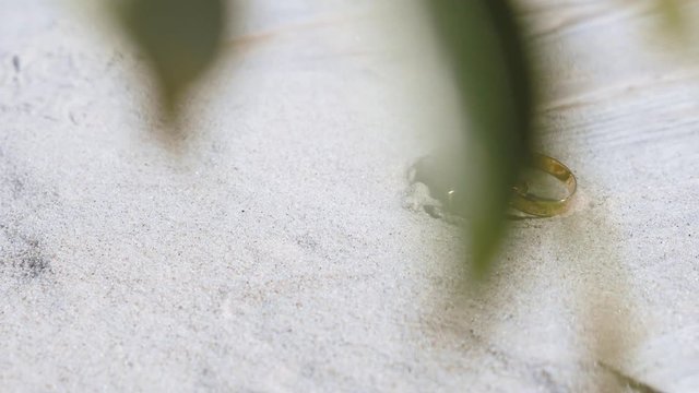 wedding rings lie on the sand on the beach near the seashell