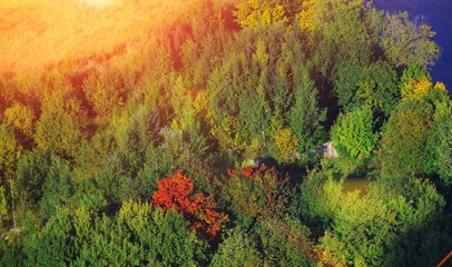 Magnificent natural landscape. Top view of forest green with single yellow-crimson trees, in field with dry grass and part the reservoir with blue water on a bright Sunny day early autumn.