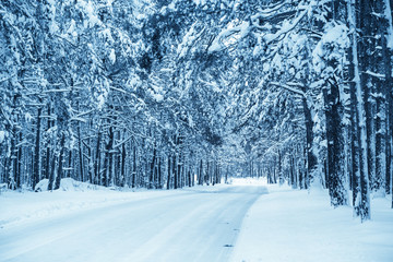Winter snowy road.