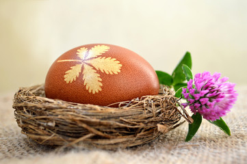 Easter egg in the nest and red clover flower, canvas background