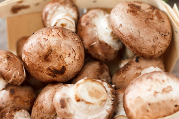 Fresh boletus mushrooms in a basket
