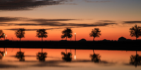 Oak trees reflection at sunrise