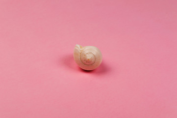 Sea shell on the pink background. Travel concept
