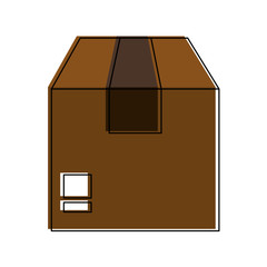 Delivery cardboard box