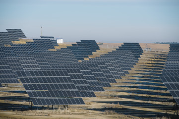 field of solar panels