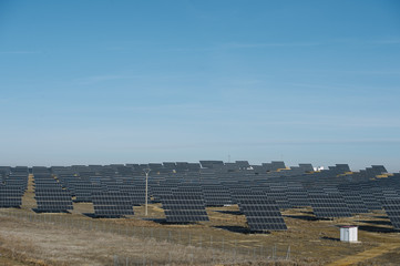 field of solar panels