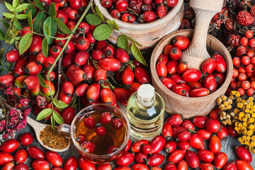 Medicinal plants and herbs composition: Dog rose, bunch branch Rosehips, types Rosa canina hips,...