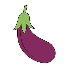 Eggplant fresh vegetable