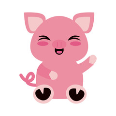 Cute pig cartoon