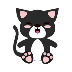 Cute cat cartoon