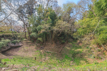  	春の佐倉城跡の風景