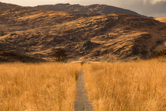 old kenmare road