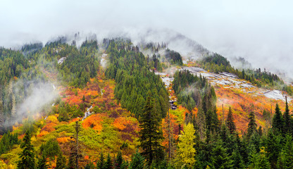 Amazing fall foliage in stormy weather at the Coquihalla Summit, British Columbia, Canada © Ferenc