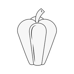 Pepper vegetable isolated