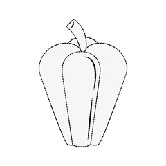 Pepper vegetable isolated