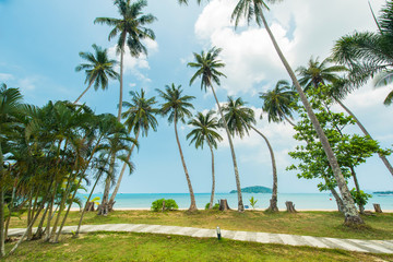 Plakat Beautiful exotic beach with coconut tree palm located Koh Kood Island, Thailand