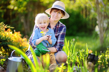 Beautiful woman and her cute son planting seedlings in bed in the domestic garden at summer day