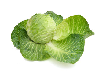 Cabbage isolated on white