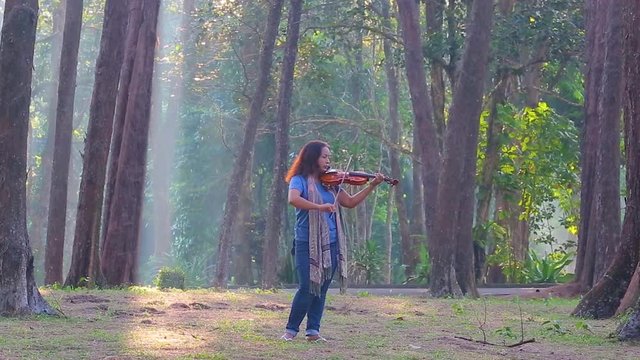 Asian woman with violin in pine forest on sunlight morning, Thailand