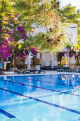 Swimming pool at hotel with bar. Empty hotel, palm trees, umbrellas