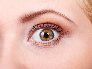 Fototapeta na wymiar Detailed closeup of woman colorful eye