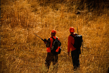 Hunter clad in orange stand in a field