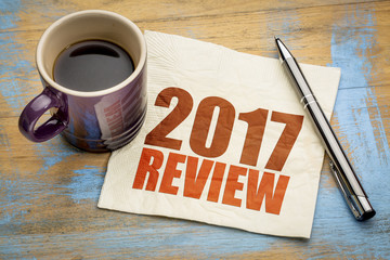2017 review on napkin