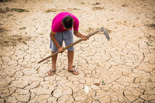 Boy planting little green tree on crack dry ground, concept drought and world environment day