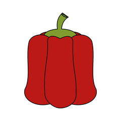 Pepper vegetable isolated