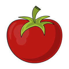 Tomato fresh vegetable