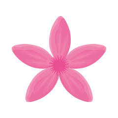 Naklejka premium flower with petals pink vector illustration