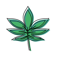 palmate  leaf  vector illustration