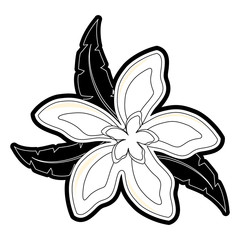 Fototapeta premium flower with leaves vector illustration